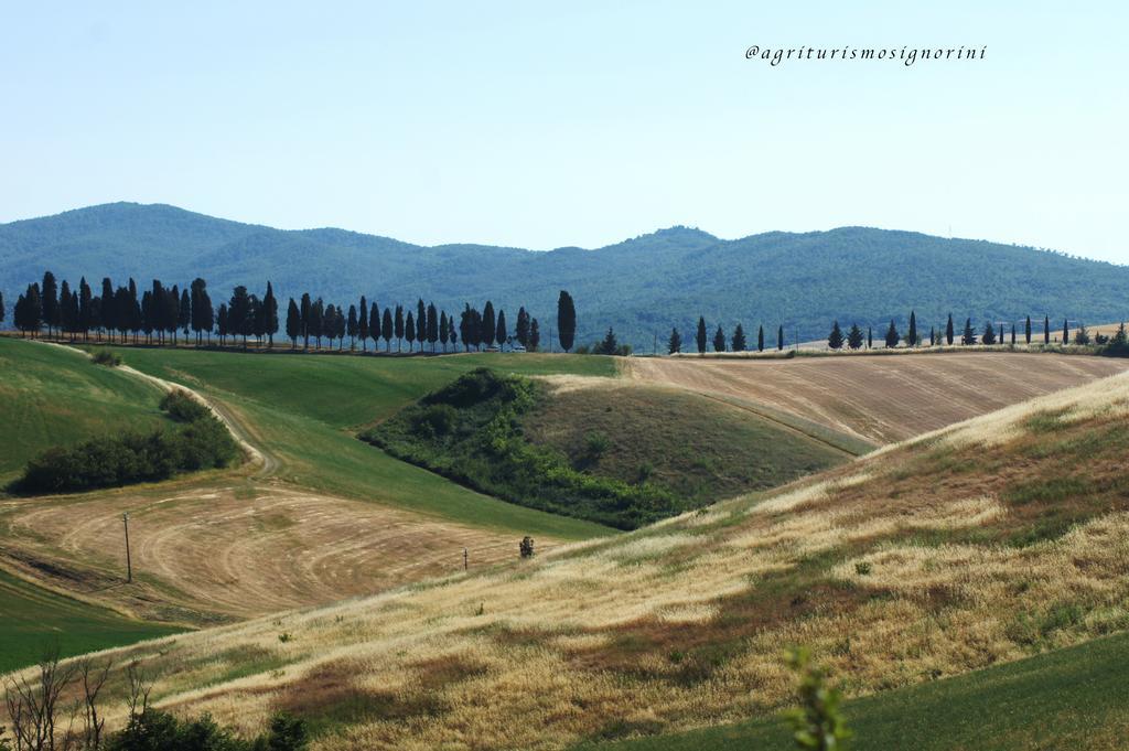 Agriturismo Signorini Orciatico Exterior photo