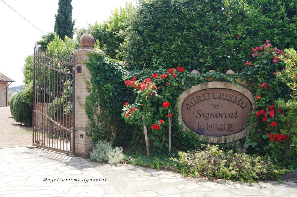 Agriturismo Signorini Orciatico Exterior photo